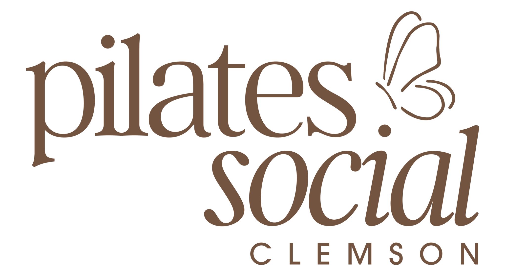 Reformer Pilates in Clemson SC - Join US!